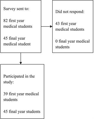 Insights into values and emotional wellbeing of medical students in the United Arab Emirates: a cross-sectional study